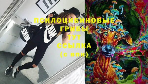 мет Белокуриха
